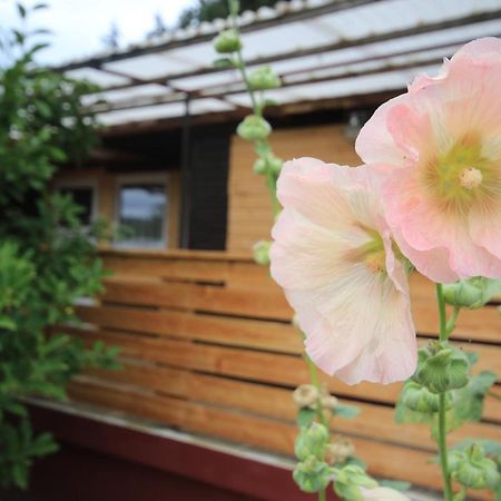 Ferienhaus Am Wald 탐바크다타츠 외부 사진
